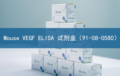 Mouse VEGF ELISA 试剂盒（91-08-0580）